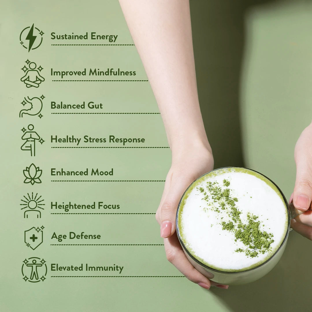 Matcha Shroom™ Buy 1 Get 2 Free